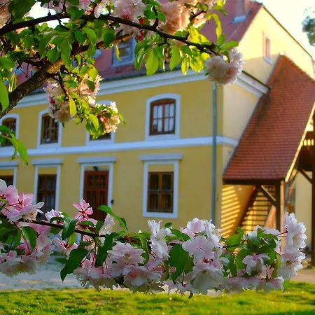 Mindszenty Ifjusagi Haz 佐洛埃格塞格